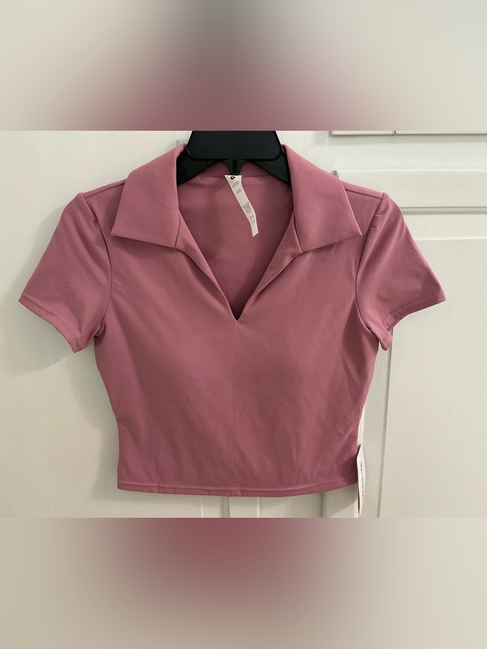 NWT- Gold Hinge- pale berry crop top - Sz M